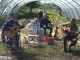 Concert sous la serre ... Gironde en transition 16-09-2017